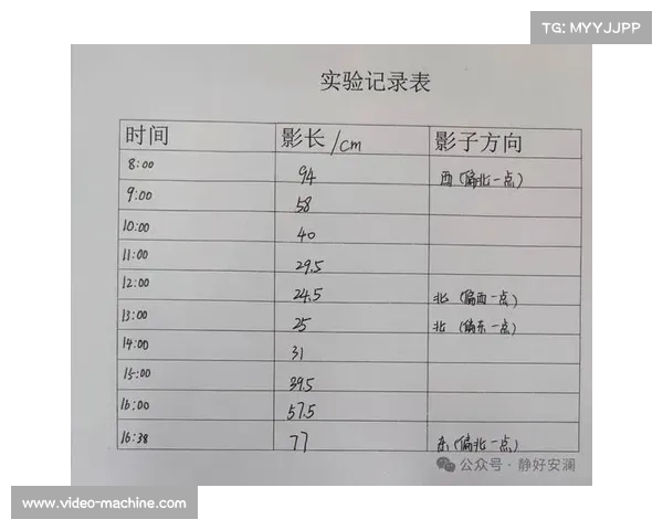 定红码现象探究：分析其形成机制及社会影响的多维视角