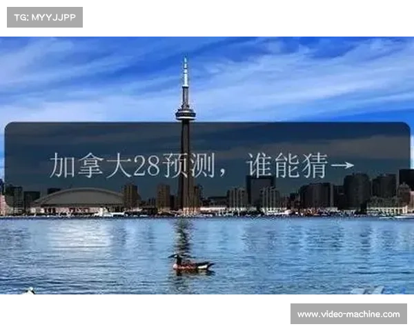 加拿大28投注技巧与走势分析精解助你精准预测未来开奖结果